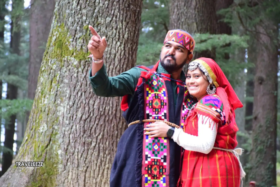 Honeymoon Special: Shimla & Manali (6 Days)